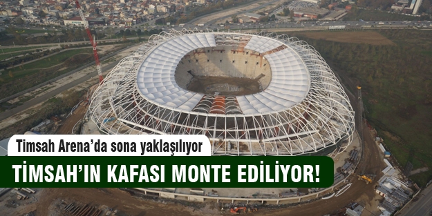 Timsah'ın kafası yapılıyor