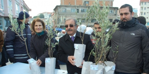 Gelibolu’da Fidan Dağıtımı