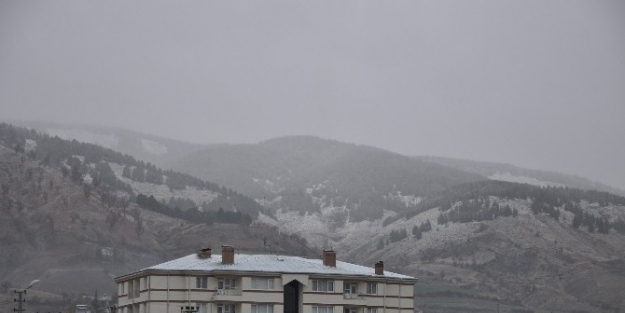 Sincik İlçesine Yılın İlk Karı Düştü