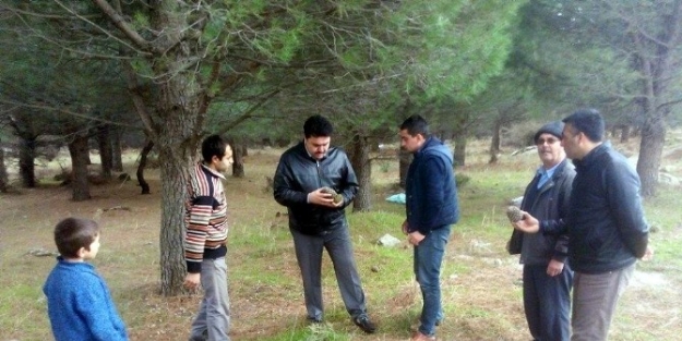 Başkan Ersoy Fıstık Tarlalarında İncelemelerde Bulundu