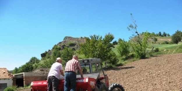 Samsun’da 75 Ton Buğday Tohumu Üretildi