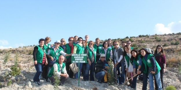 Ege Orman Vakfı Gönüllülerinin Ormanı