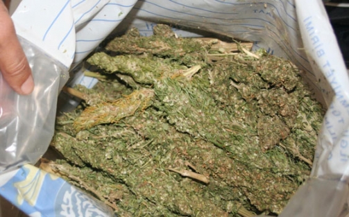 Parkta verilen esrar hastanelik etti