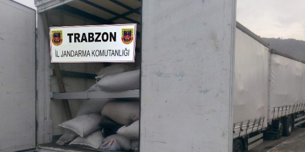 Trabzon’da 2 Tır Dolusu 20 Ton Kaçak Çay Ele Geçirildi