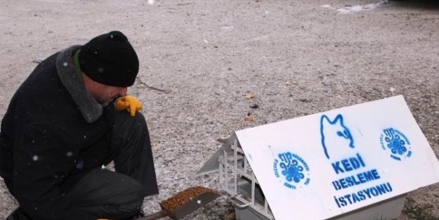 Selçuklu Da Hayvanlar Unutulmadı