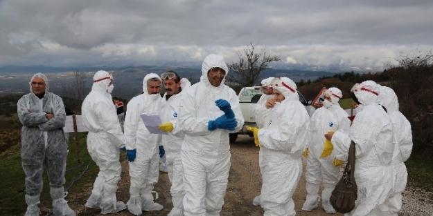 Bolu’da Kuş Gribi Tatbikatı Yapıldı