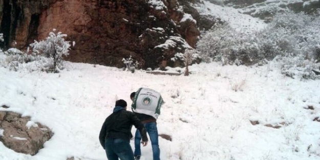 Kelkit’te Yaban Hayvanlarına Yem Bırakıldı