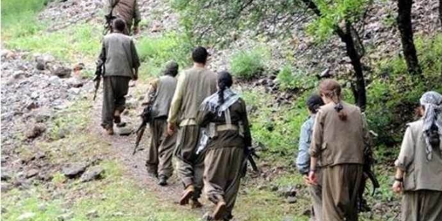 Şırnak'ta 8 terörist teslim oldu!