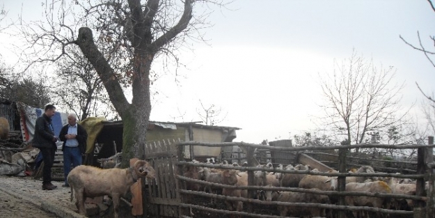 Köylüler Bilinçlendiriliyor