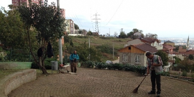 Parklarda Bakım Eksik Olmuyor