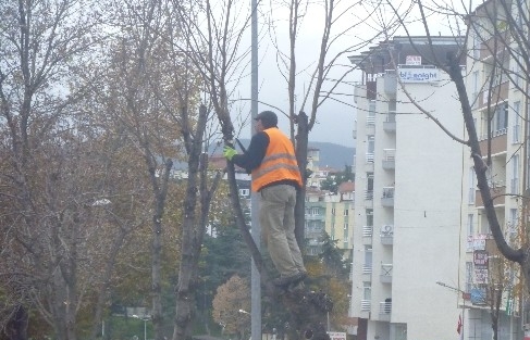 Bilecik Kışa Hazırlanıyor