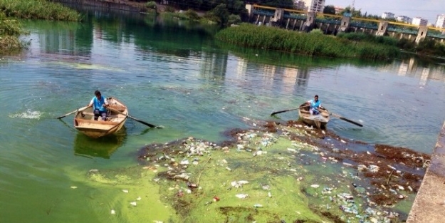 Seyhan Nehri’ndeki Balık Ölümleri Önlenecek