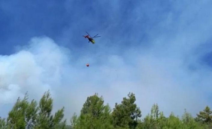 Antalya'da orman yangını! Müdahale sürüyor