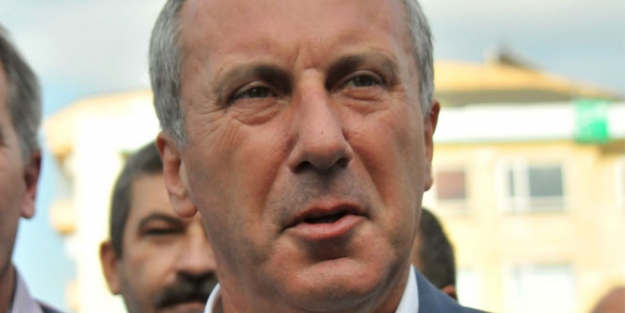 İnce Yalova'daki ağaç  kesimine isyan etti