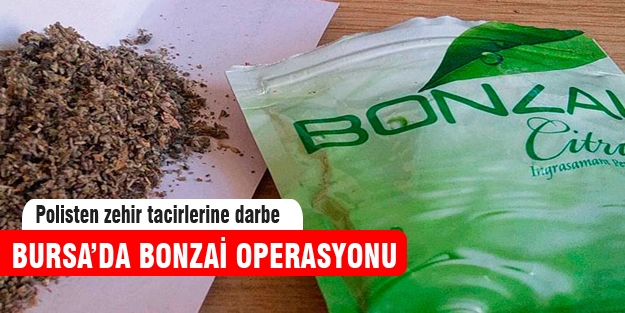 Bursa'da bonzai operasyonu