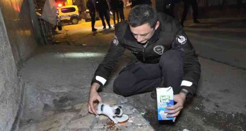 Bursa'da polislerin "hırsız var" diye tırmandıkları evden yavru kedi çıktı