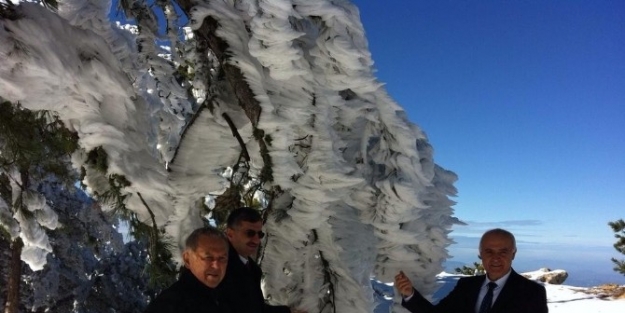 Vali Bektaş Spil’e Yapılan Alt Yapı Yatırımlarını İnceledi