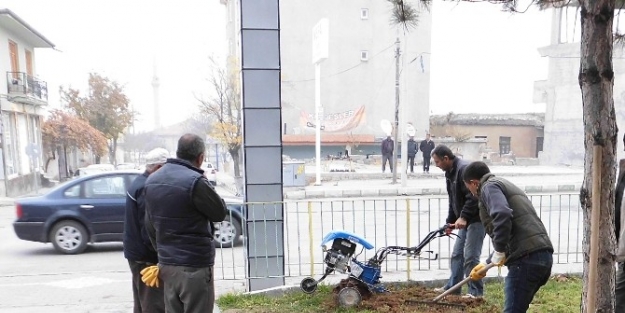 Cihanbeyli Rengarenk Olacak