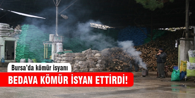 Bursa'da bedava kömür isyanı!