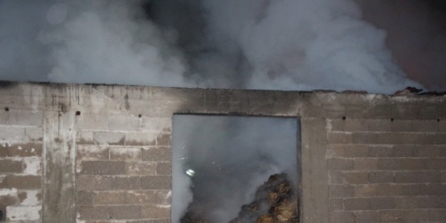 Samanlık Yangını Paniğe Neden Oldu