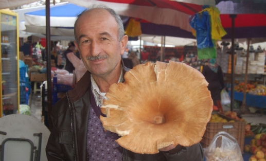 Görenler inanamadı!