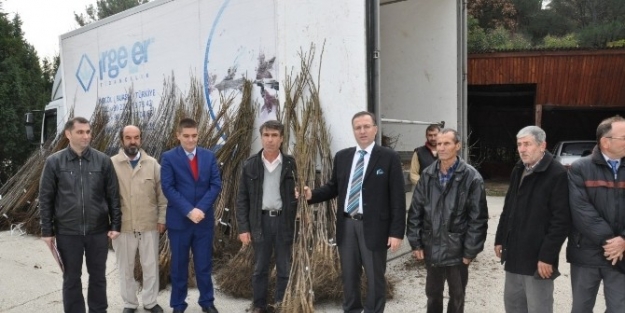 Keşan’da Meyveciliği Geliştirme Projesi Kapsamında Ceviz Ve Erik Fidanı Dağıtıldı