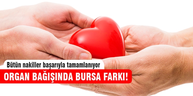 Organ bağışında Bursa farkı!