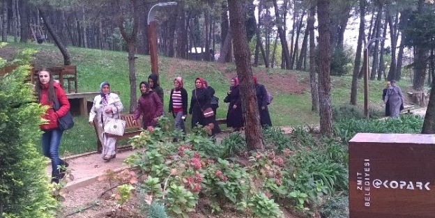 İzmitliler İzmit’i Tanıyor