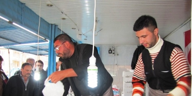 Balık Bollaştı, Fiyatlar Düştü