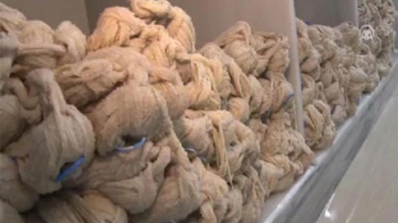 Dünya bağırsak için kapımıza dizildi