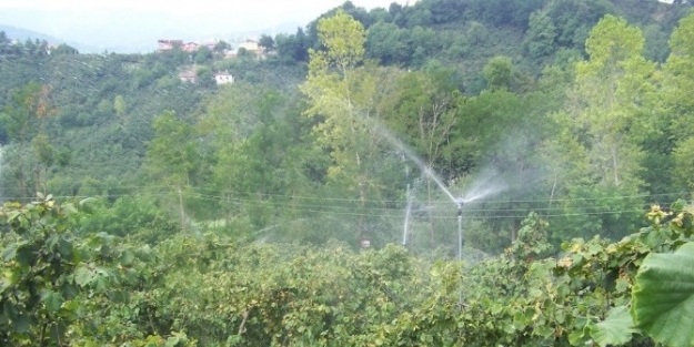 Tarım Desteği Havaalanını Geçti