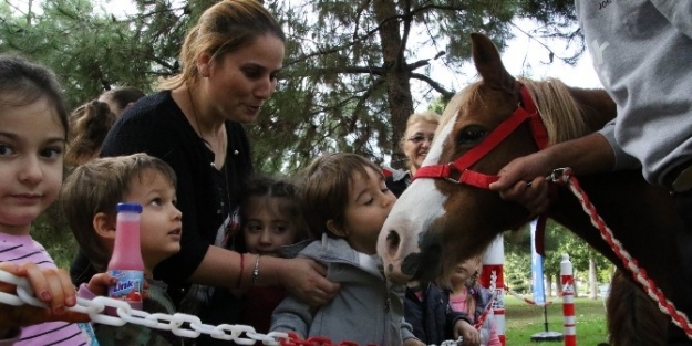 Çocuklar Midillilerle Buluştu