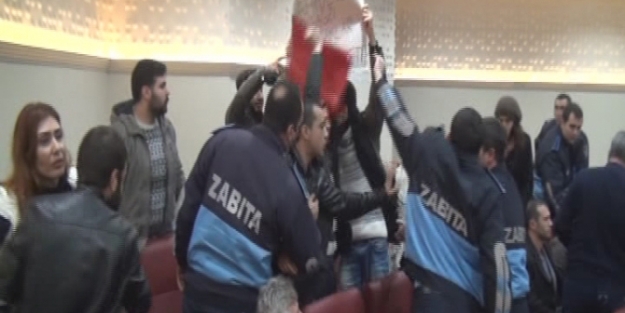 Yalova'da ağaç katliamı meclisi karıştırdı!