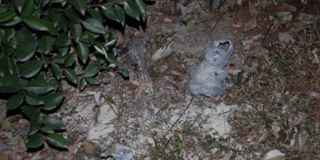 Bahçede Eroin İddiasi