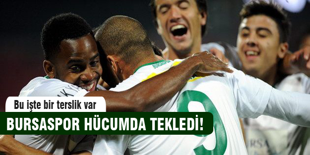 Timsah hücumda tekledi