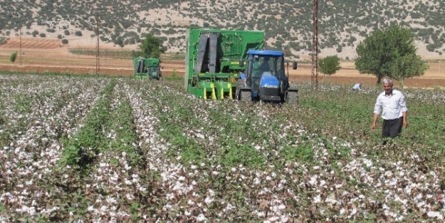 Çukobirlik, Çiftçiyi Tüccarın İnsafina Terketti