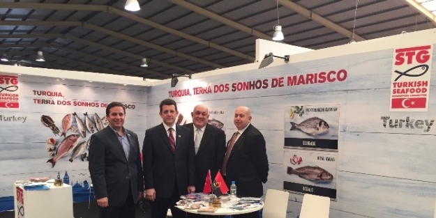 Su Ürünleri, Afrika Pazarına Angola’dan Girecek