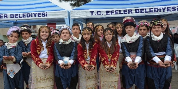 Efeler’de Coşkulu Kestane Festivali