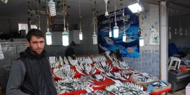 Soğuk Hava Balık Pazarını Vurdu