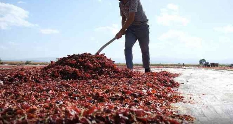 Bursa'nın toz biberi dünya mutfağında