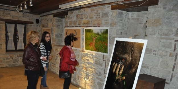 Kuşadası’nda “afrika Afrika“ Fotoğraf Sergisi