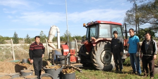 Dökülen Yapraklar Enerjiye Dönüşüyor