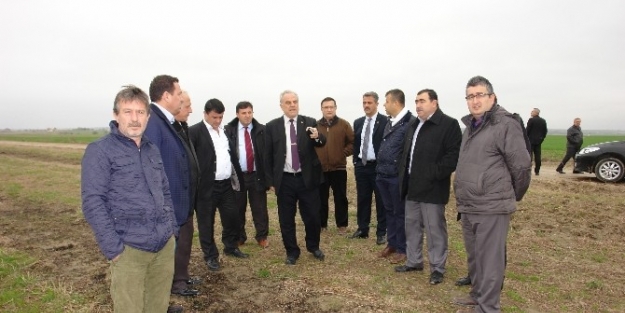 Saray’a Avrupa Standartlarında Hayvan Kesim Tesisi Kuruluyor