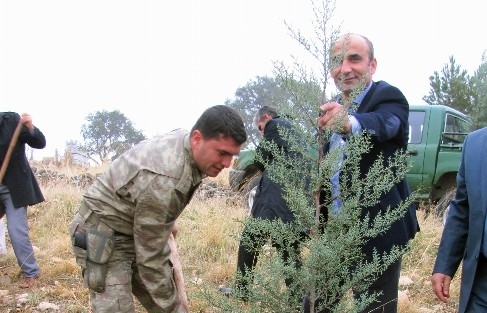 Araban Hatıra Ormanı’na 2 Bin 500 Adet Fidan Dikildi