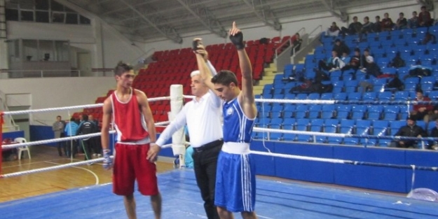 Boksörler Altı İli Geçti