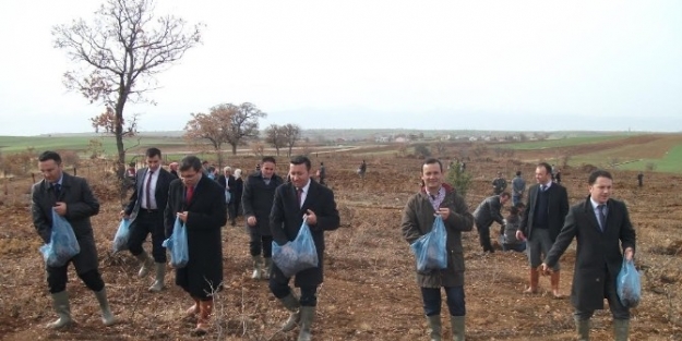 Tohumlar Daha Yeşil Bir Örtü İçin Toprağa Serpildi