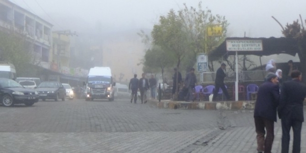 Kulp’ta Yoğun Sis Hayatı Olumsuz Etkiledi