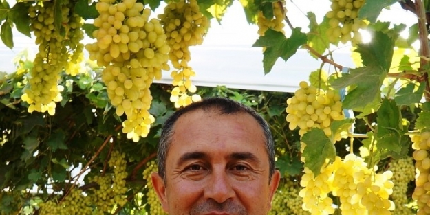 Manisa Ziraat Mühendisleri Odası Şube Başkanı İbrahim Demran: