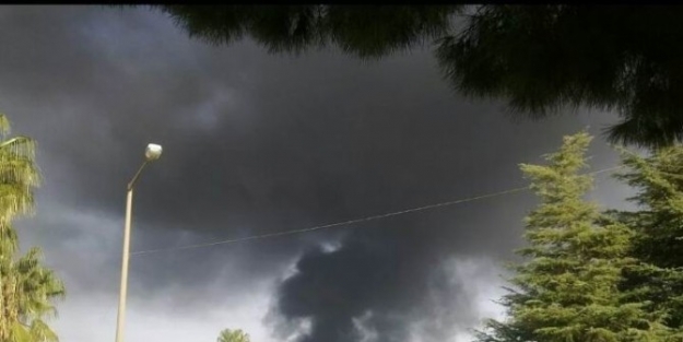 Ceyhan Belediye Başkanı Alemdar Öztürk: "yangın Kontrol Altında"