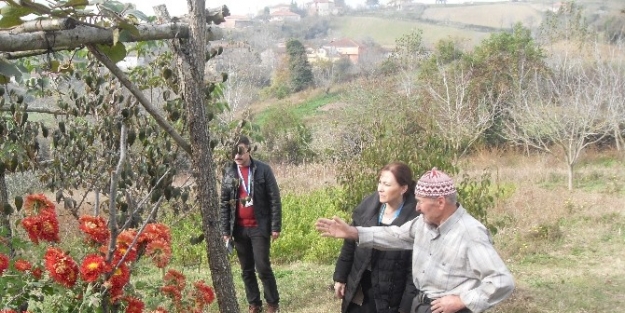 Belediye, Köylünün Ayağına Gidiyor